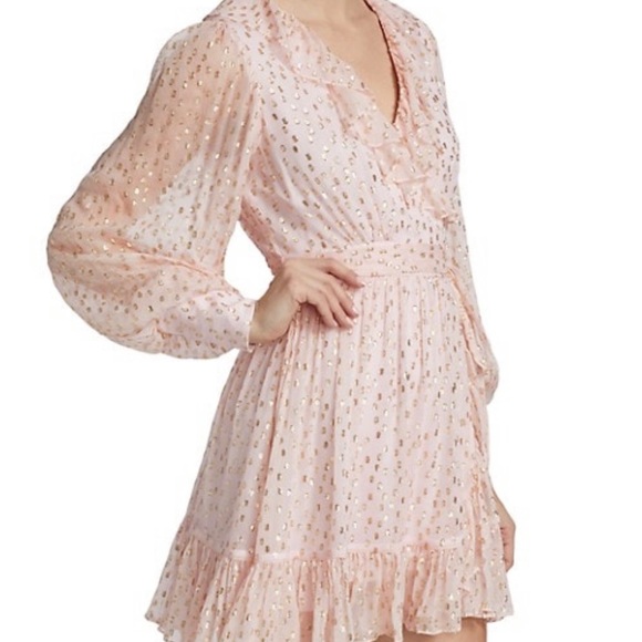 Zimmermann Metallic Dot Ruffle Dress - Picture 13 of 13